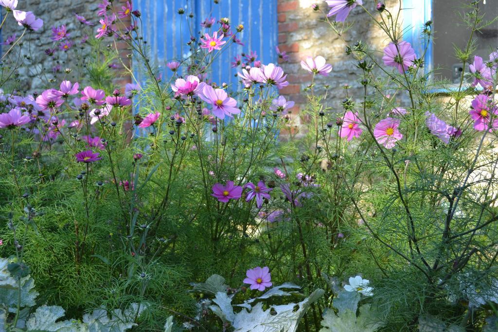 Bed and Breakfast Cotswolds Mine Hill House Lower Brailes Exterior foto